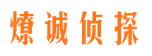 雅安侦探公司